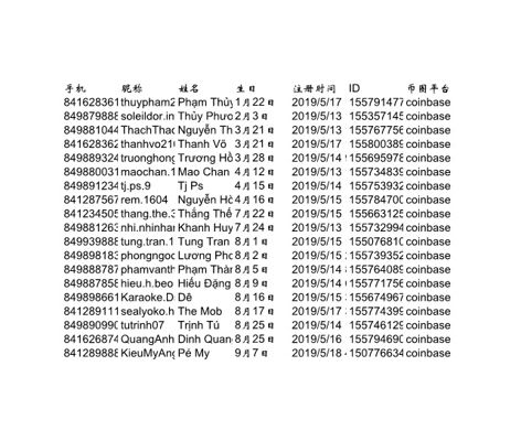 越南本地人商务投资200条20美金