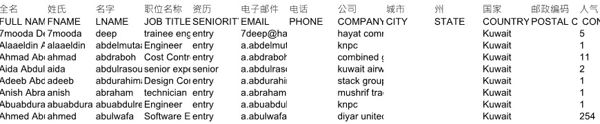 先锋投资集团股票债券科威特37783条