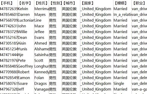 股票持有者信息英国伦敦200万条