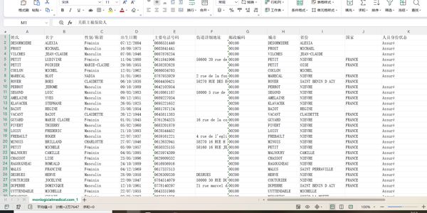 法国医疗管理软件monlogicielmedical.com总共320万