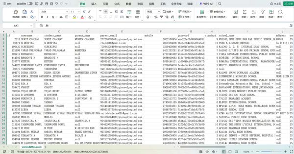 印度有钱人独立站dettol（邮箱电话id地区等等 看清楚格式拍总共45万条）