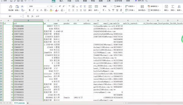台湾1111comtw招聘数据包括电话邮箱姓名状态 500万条