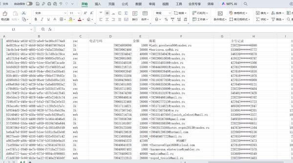 俄罗斯PaySystem支付提供商id 电话 金额 邮箱 卡号 总共250w去重复