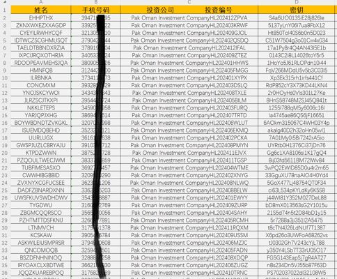 巴基斯坦投资客户15万条，金融投资理财