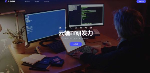 405K 中国 https://www.tntlinking.com/ 求职简历