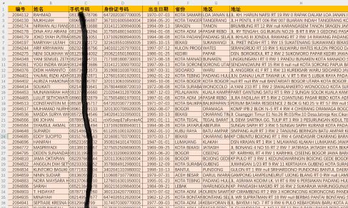 最新：印尼基金投资14W，带身份证，印度尼西亚金融投资