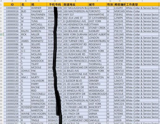 最新：加拿大白领，加拿大经理领导投资客户16w
