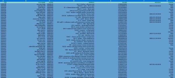 2026年泰国公民数据库53万