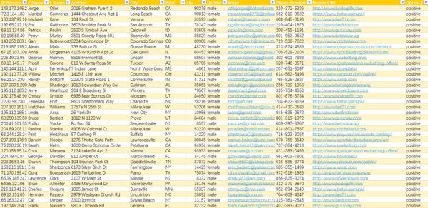 美国2025年最新赌徒数据500条
