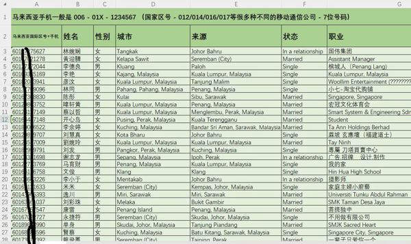 马来西亚华人华侨5万条，第一批货 ，贪官子女富二代