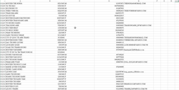 100万越南个人信息 手机号