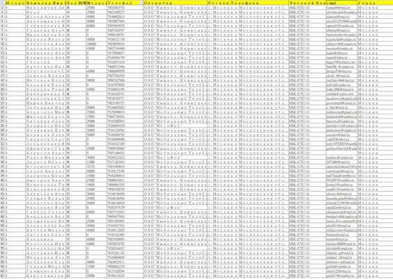俄罗斯退休老人