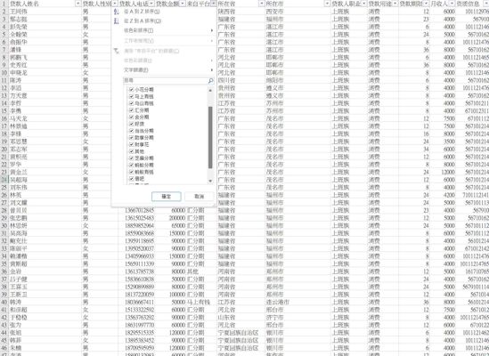 国内大额贷款数据