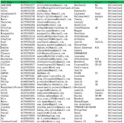 瑞士公民详细户籍-10万