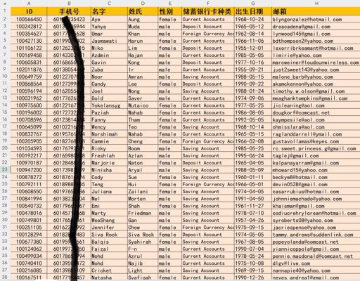 马来西亚CIMB Bank联昌国际银行12w