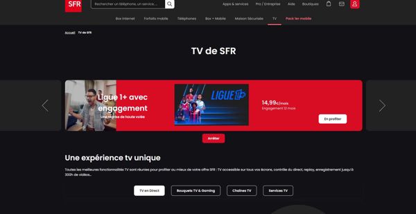 SFR 是一家法国电信公司，提供移动、互联网、电视和电话服务。其数据库管理客户账户、订阅和账单。