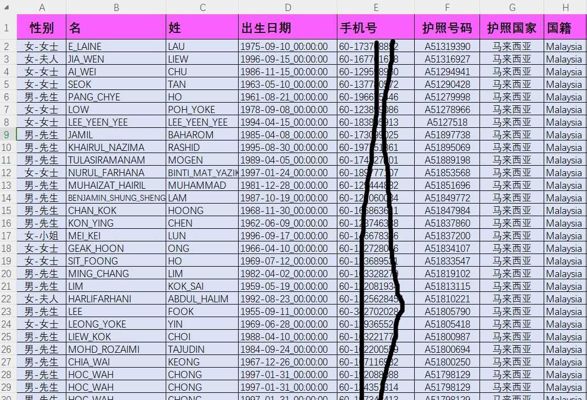 马来西亚Malaysia马航乘客8万，航空头等舱富人，护照号码