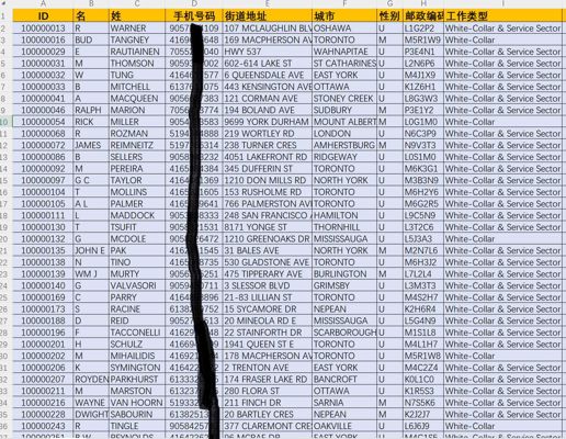 加拿大白领16w，加拿大经理领导投资客户