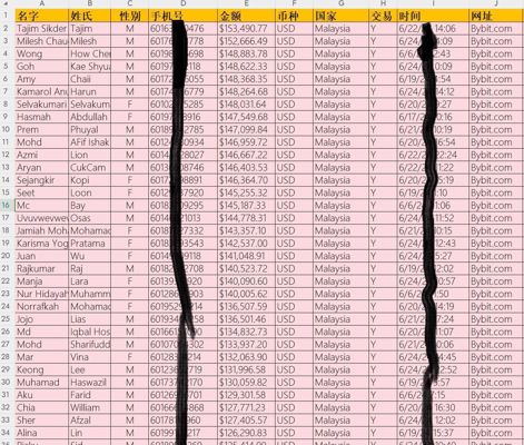 马来西亚数字币Bybit币圈10万条，马来西亚加密币交易所投资