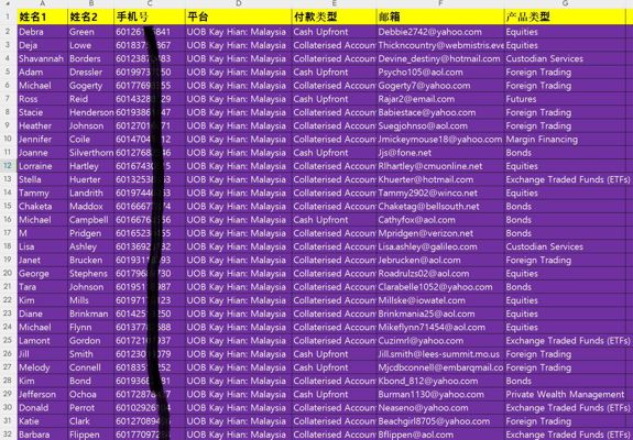 马来西亚金融投资客户26W，外汇期货债券投资