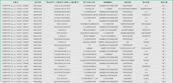数据格式--注册id 电话号码 &amp;#39;登记证件号（身份证号\\护照\\工商注册号） 用户名或公司名&amp;#39; 建筑物地址&amp;#39;, 街道名称 街区名称&amp;#39; 地区名称