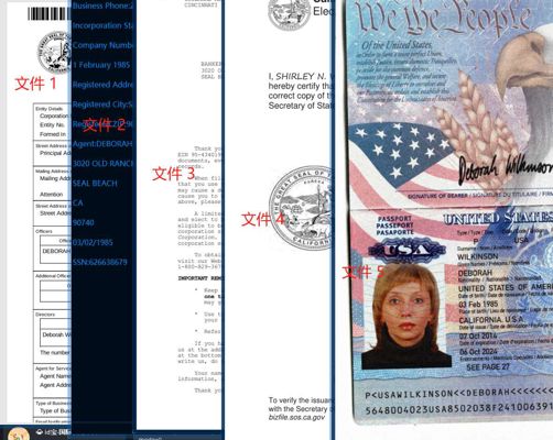 打包出售168份美国公司资料，注册过谷歌开发者；其余平台请自行测试，无售后，购买即默认不争议退款，没时间折腾，感谢理解