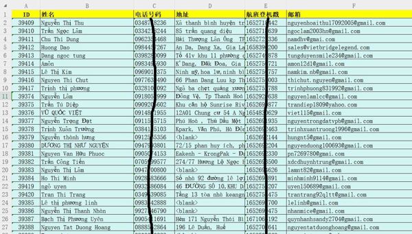 越南航空乘客5万条，越南头等舱航班乘客