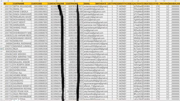 印尼投资客户25万条，印度尼西亚资金投资VIP富人