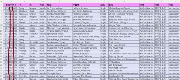 美国虚拟币投资9.5万条，美国币圈库币数字币，金融富人