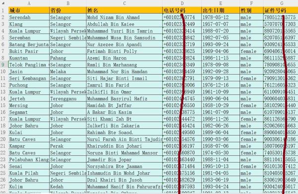 马来西亚保险客户带身份证6万条