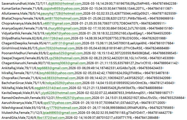 伊拉克 httpswww.moh.gov.iq 国家卫生部公立医保主管官网532w