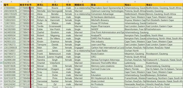 南非企业高管白领16万条，南非高收入人群