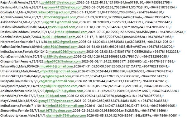 伊拉克投资招商信息平台 509w用户数据资料 httpswww.nici.gov.iq