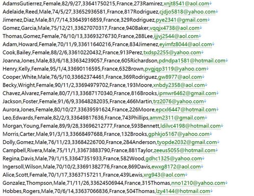 法国 老佛爷高端奢侈品百货577w用户数据资料www.galerieslafayette.com