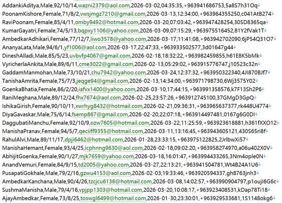 【敘利亞｜[aidadalati.com]頂級傳統敘利亞禮服505w