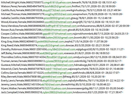 沙特 mythameen.com 本土高端奢侈品电商平台 486w