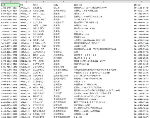 字段：名字，电话，地址， 生日，身份证号 。。。