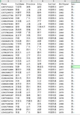 字段：姓名，电话，生日年份，性别 。。。