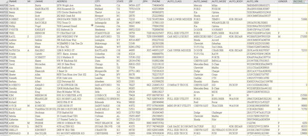 美国车主料