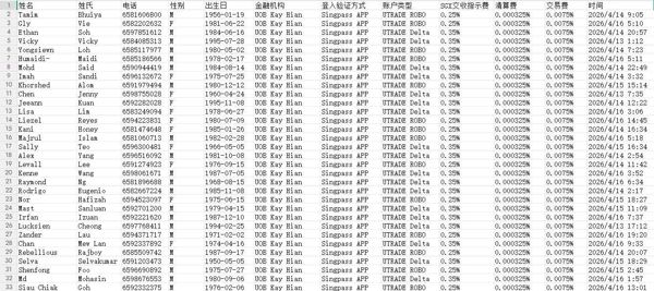 更新时间4月17号：新加坡大华继显金融投资数据，格式见图所示，包含所有，无重复，不清楚可以留言，独家出售，禁止倒卖，拍后自动发货！