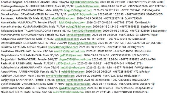 也门www.ibyemen.com也门国际银行官网（金融客户个人信息）454w