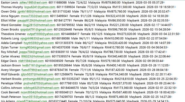 马来西亚 malaysialuxuryhomes.com 豪华置业网（客户信息）736w