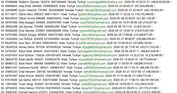 土耳其 borsaistanbul.com borsaistanbul.com 证券交易所650w