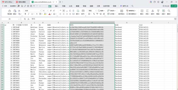 id	唯一字母数字字符串	名	姓	邮箱	密码	渠道	电话

总共100万