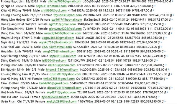 （RueduLiban）高端香水消费人群719w越南用户数据