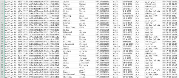 本站首次出售-阿联酋迪拜商业银行信用卡数据，格式看图为全部格式，3月21号出库，自动发货，懂的直接拍，不懂留言，持续更新！
