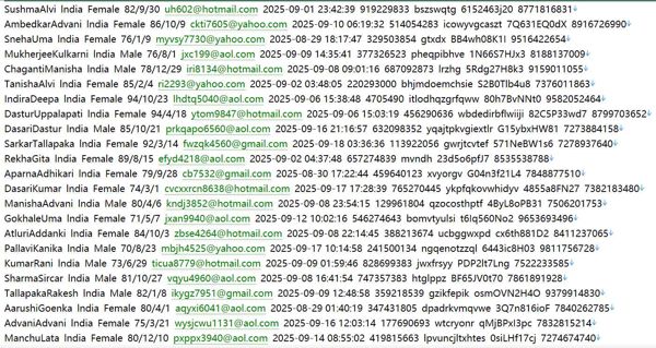 高收入人群，薪资中高824w印度用户数据信息