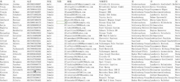 德国车主信息，无重复389万