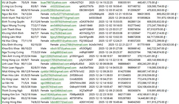 越南SimilarWeb房产交易平台586W