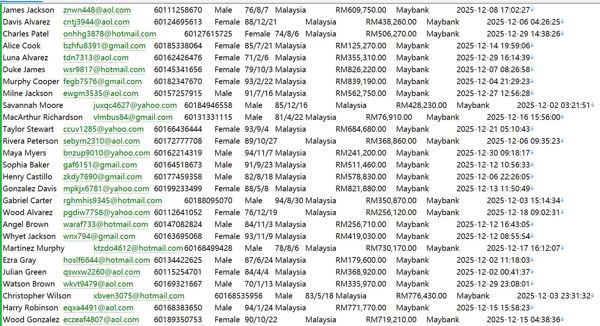 马来西亚Kuala房地产房主登记数据信息537W